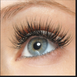 Eyelash Extensions